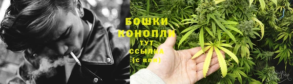 бошки Бронницы